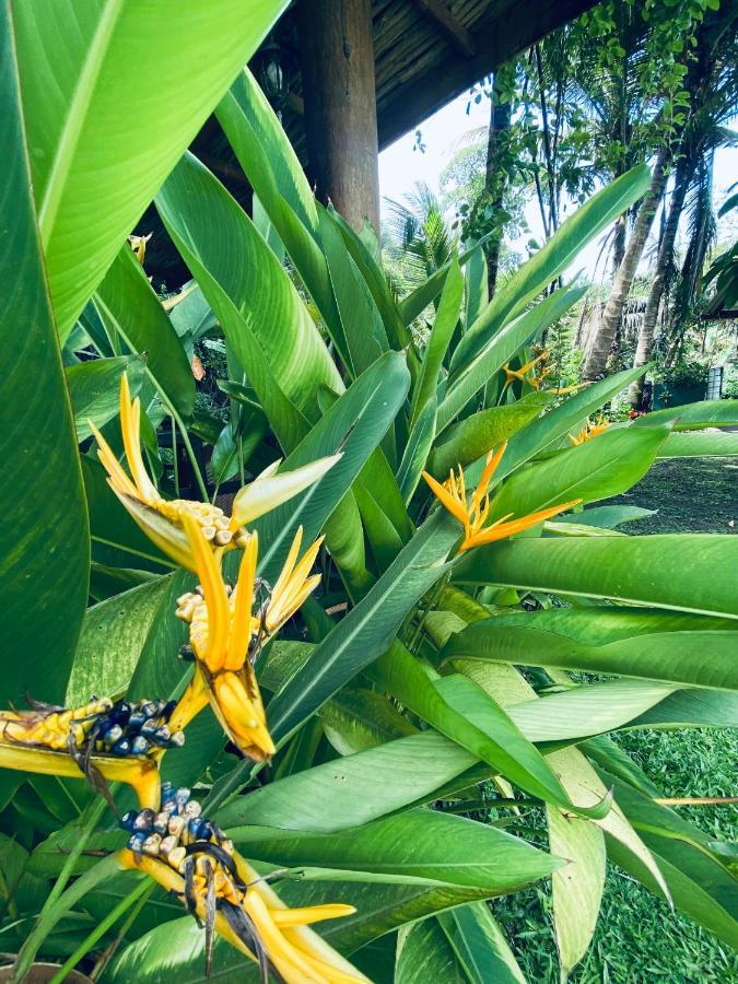 Galketiya Nature Villa Unawatuna מראה חיצוני תמונה
